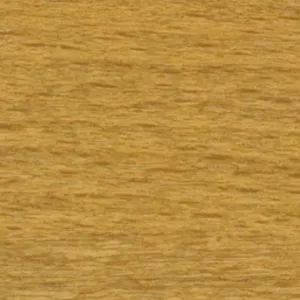 Honey Oak wood stain swatch