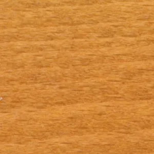 1-1 wood stain swatch